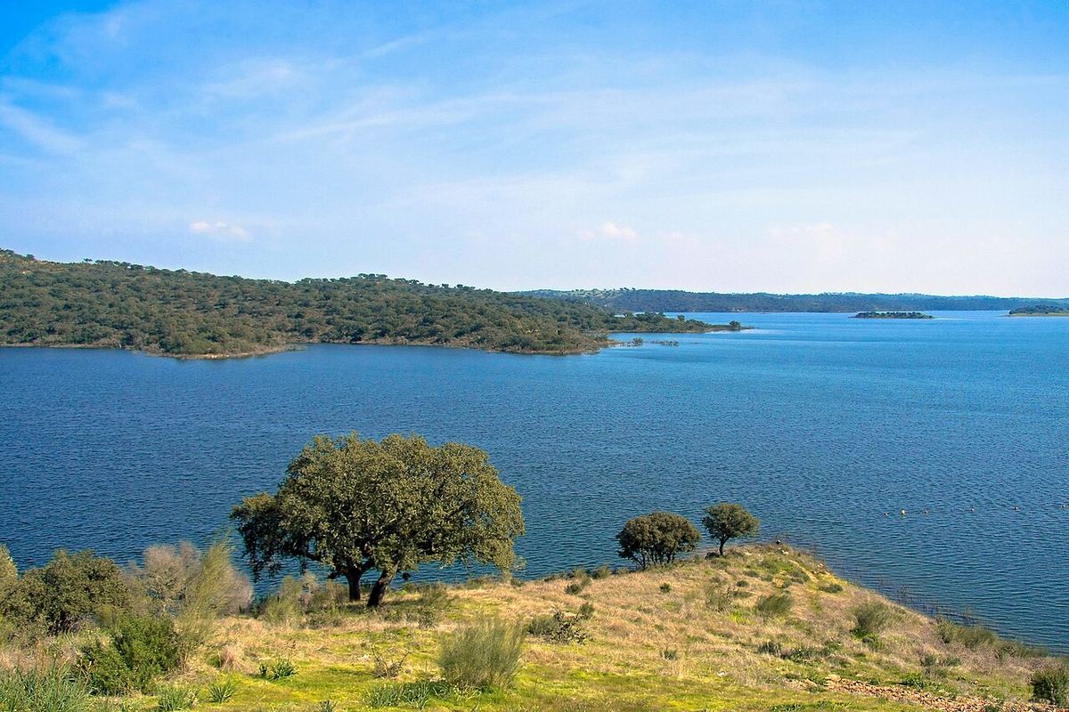 Miniatura: Margem da albufeira do Alqueva com azinheiras e água azul num dia limpo