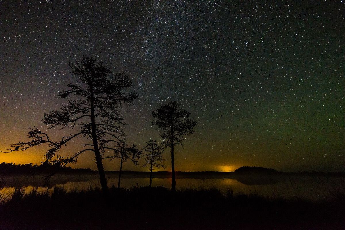 Miniatura: Meteoro das Perseidas e Via Láctea sobre árvores junto a um lago