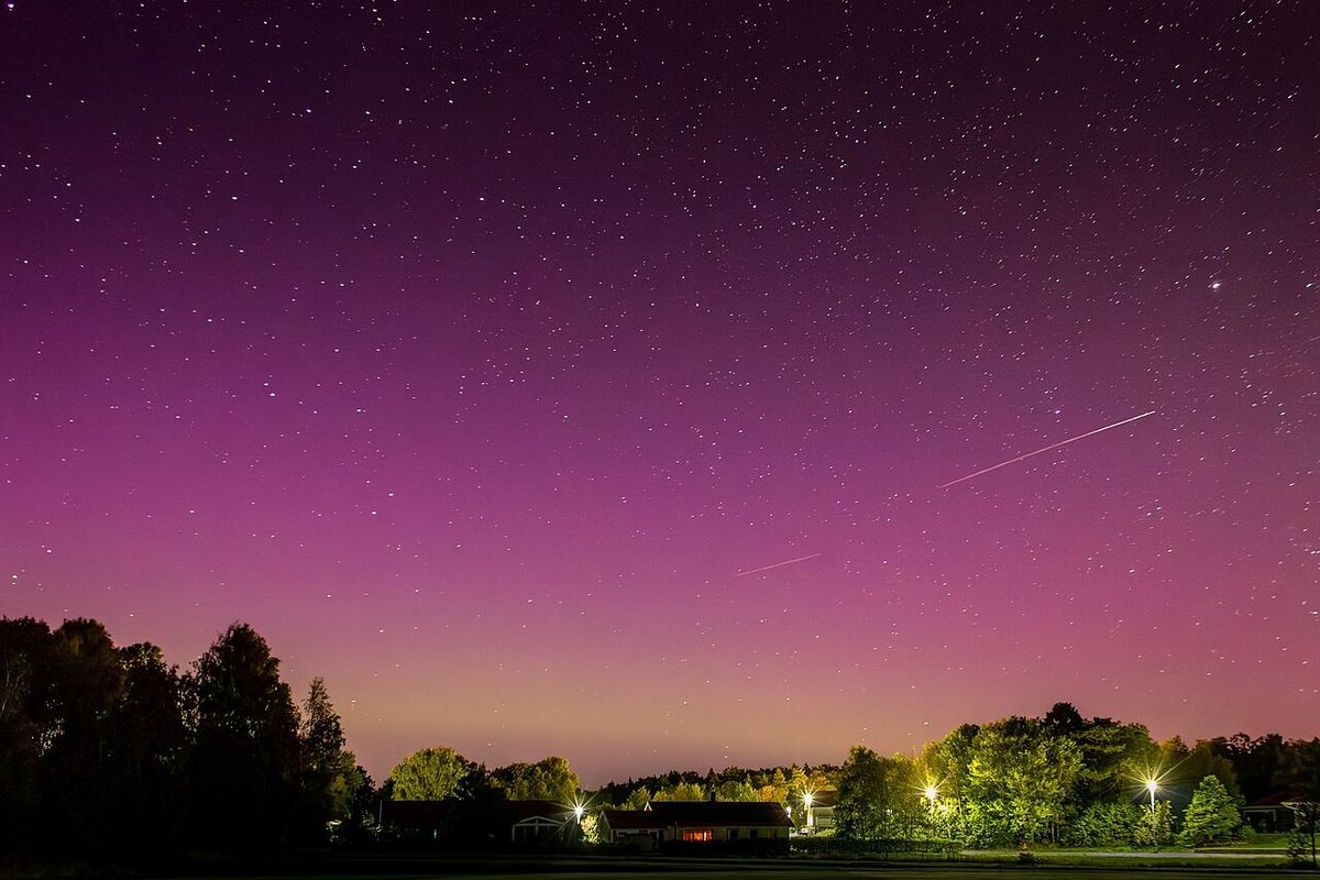 Dois pequenos meteoros das Perseidas sobre árvores e um céu rosado